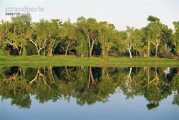 Reflexionen von Eukalyptusbäumen (Zahnfleisch) auf Annaburroo Billabong nahe der Arnhem Highway bei der Mary River Crossing im Northern Territory  Australien  Pazifik