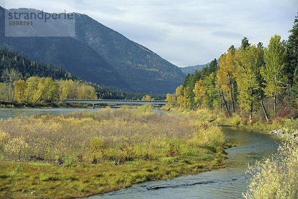 Der Clark Fork River im Herbst  am Tarkio Missoula verließ  Rocky Mountains  West-Montana  Vereinigte Staaten von Amerika  Nordamerika