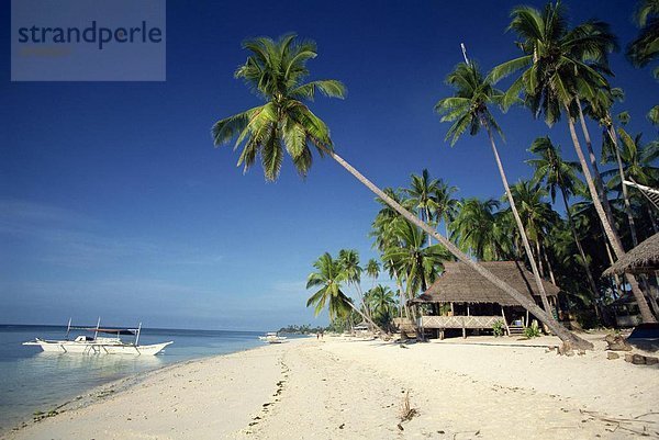 Alona Beach auf der Insel Panglao vor der Küste von Bohol in den Philippinen  Südostasien  Asien