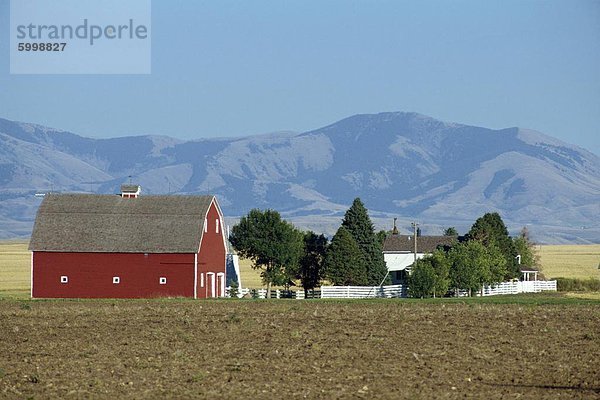 Bauernhof mit großer Scheune  der Prärie mit Bergen hinter  Cascade County  Montana  Vereinigte Staaten von Amerika  Nordamerika