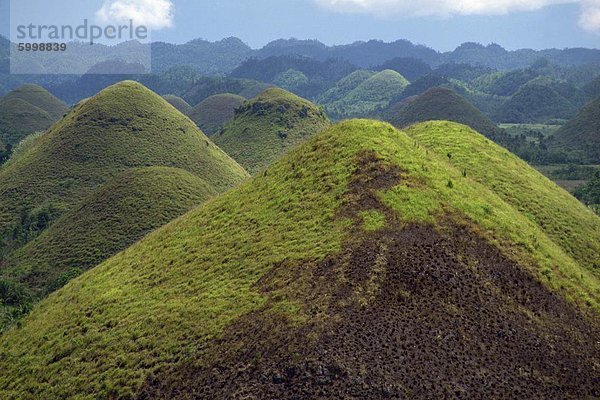 Die Chocolate Hills  eine berühmte geologische Kuriosität  mit mehr als 1000 von ihnen  auf der Insel Bohol  Philippinen  Südostasien  Asien