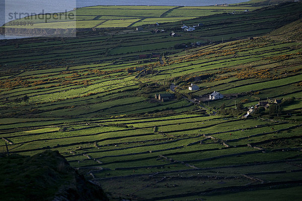 Blick in Richtung der Bera-Halbinsel aus dem Ring of Kerry Straße  Iveragh-Halbinsel  County Kerry  Munster  Eire (Irland)  Europa