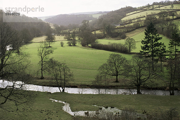 Exmoor  in der Nähe von Withypool  Somerset  England  Vereinigtes Königreich  Europa