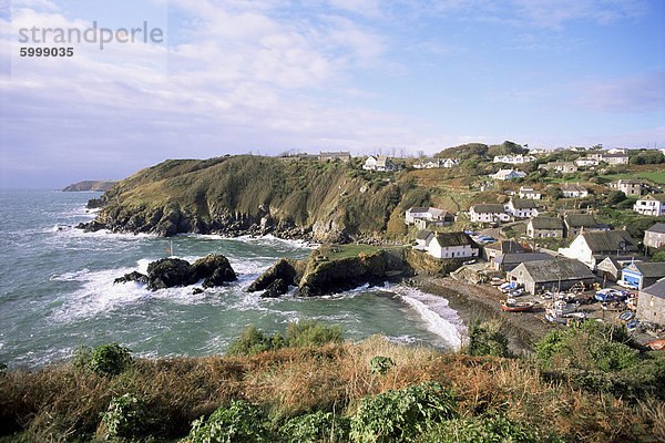 Cadgwith Hafen und Dorf  Cornwall  England  Vereinigtes Königreich  Europa