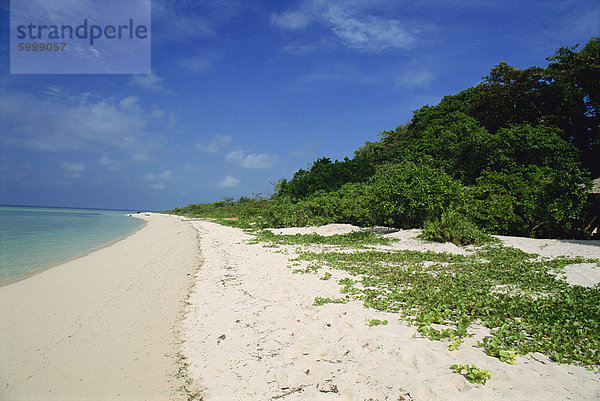 Pulau Sangalakki Strand in der versteckten Divers Resort  Kalimantan  Borneo  Indonesien  Asien