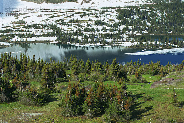 Versteckten See  in der Nähe von Logan Pass  Glacier Nationalpark  Rocky Hochgebirge  Montana  Vereinigte Staaten von Amerika  Nordamerika