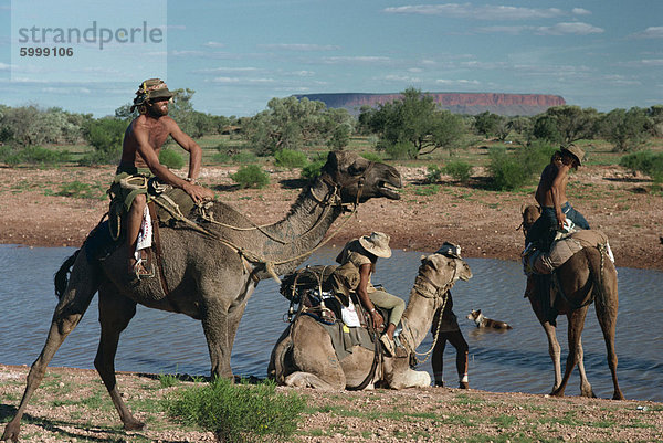 Menschen  die Reiten Kamele in der zentralen Wüste im Northern Territory  Australien  Pazifik