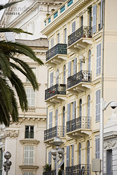 Gebäude und Palm  Nizza  Alpes Maritimes  Cote d ' Azur  Côte d ' Azur  Provence  Frankreich  Europa