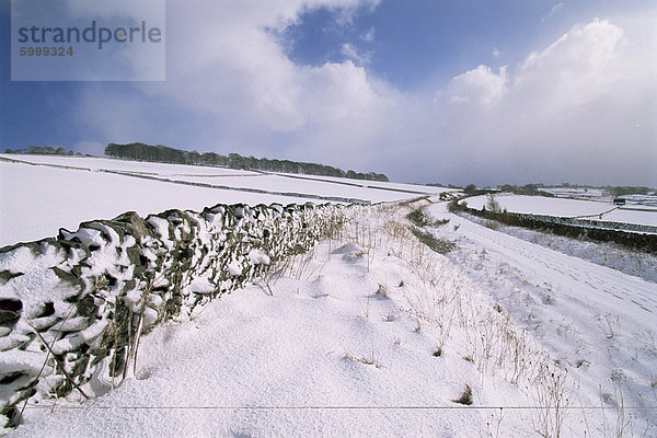 Schnee abzudeckenden Felder und Mauern  Hartington  Tissington Trail  Derbyshire  England  Vereinigtes Königreich  Europa