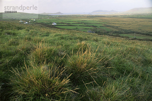 Halbinsel Dingle  County Kerry  Munster  Irland (Eire)  Europa