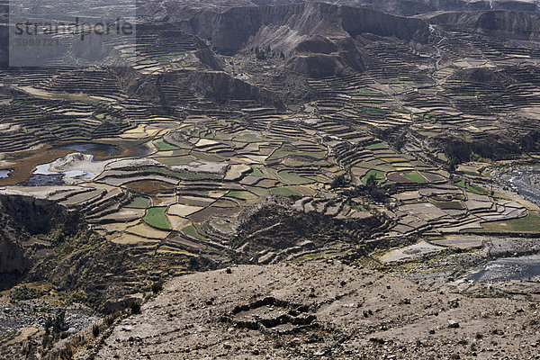 Blick über das Tal und die Inka-Terrassen in der Nähe von Chivay  Colca Canyon  Peru  Südamerika
