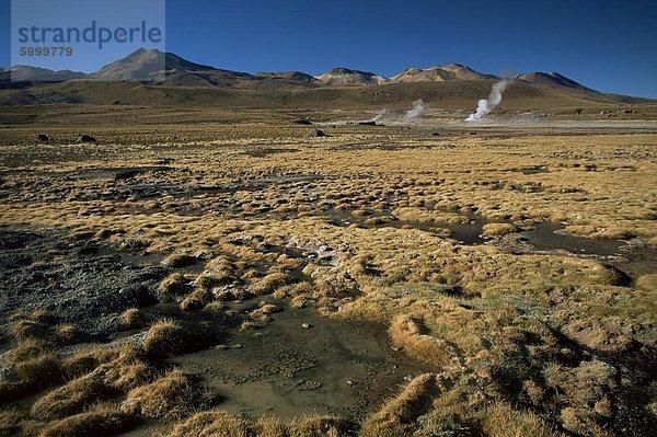 El Tatio Geysir  Atacama  Chile  Südamerika