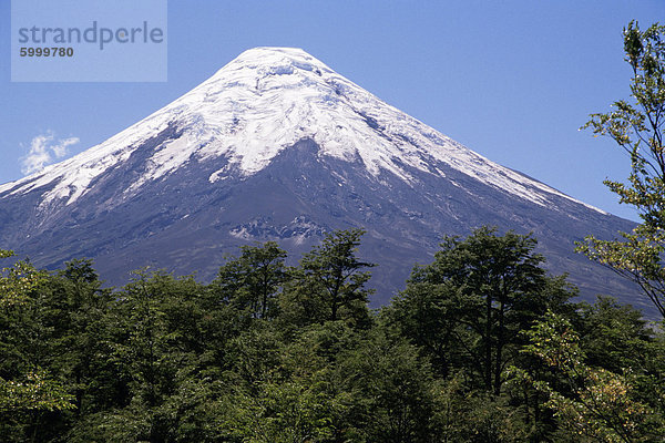 Mount Osorno  ein Vulkan in Vicente Rosales Nationalpark  Lake District  Chile  Südamerika