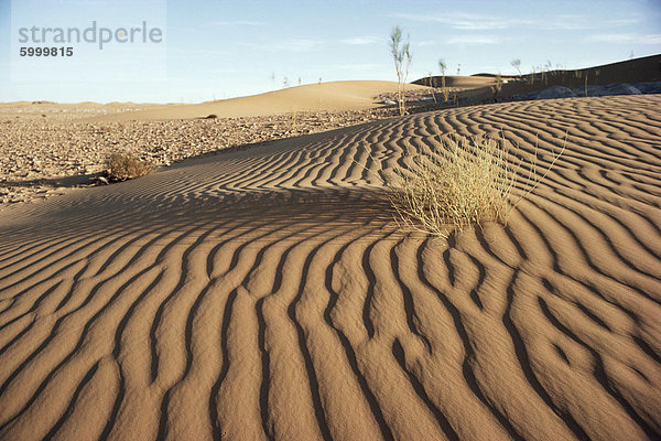 Die Wüste Sahara  Algerien  Nordafrika  Afrika