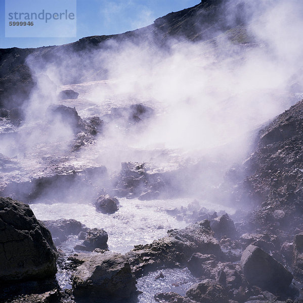 Geothermische Dampfschlote  Iceland  Polarregionen