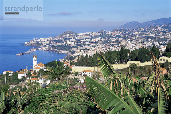 Blick über Funchal  Madeira  Portugal  Atlantik  Europa