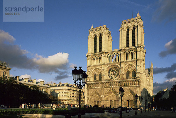 Notre Dame de Paris  Ile De La Cite  Paris  Frankreich  Europa