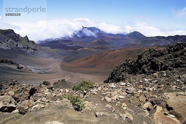 Eisenreiche Lava und Asche Kegel verwittert zu braun oxid im Krater des Haleakala  der weltweit größten ruhender Vulkan  Insel Maui  Hawaii  Hawaii  USA  Nordamerika