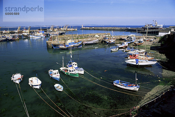 Hafen und Fischereiflotte  Penzance  Cornwall  England  Vereinigtes Königreich  Europa