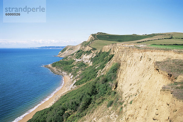 Thorncombe Leuchtturm  Dorset  England  Vereinigtes Königreich  Europa