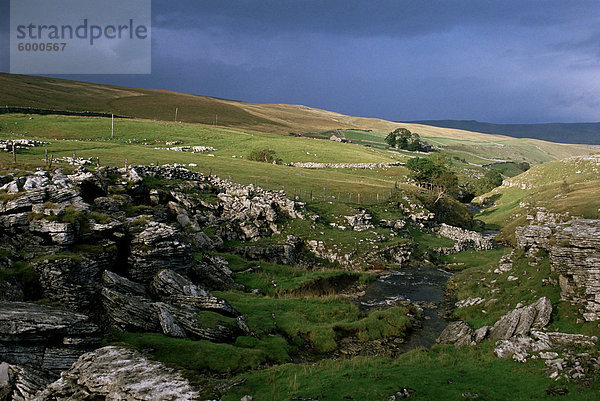 Feder-y-Gent  Hesleden Beck  Pennines  Yorkshire  England  Vereinigtes Königreich  Europa