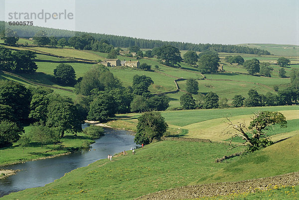 Fluß Wharfe  Barden Bridge in der Nähe von Bolton  Yorkshire  England  Vereinigtes Königreich  Europa