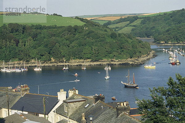 Fowey und Wald Flussgebiet der Halle zu gehen  Q Denkmal sichtbar durch Bäume  Cornwall  England  Vereinigtes Königreich  Europa