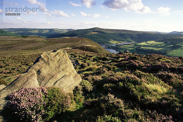 Hinblick Lee Tor und Derwent Moors  Derwent Edge  Peak-District-Nationalpark  Derbyshire  England  Vereinigtes Königreich  Europa