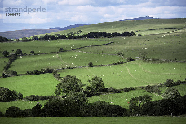 Merrivale  Dartmoor  UK