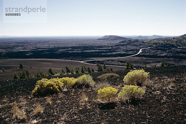 Gelb blühenden Pflanzen und Rundweg gesehen von Inferno Cone  Krater des Moon National Monument  Idaho  Vereinigte Staaten von Amerika (U.S.A.)  Nordamerika