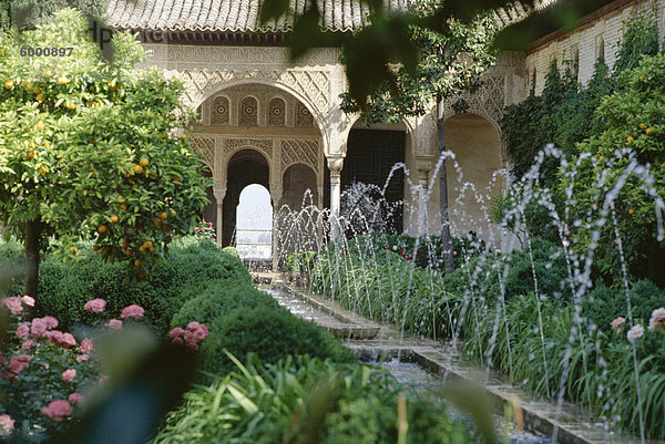 Das Canal Court der Generalife Gärten im Mai  UNESCO Weltkulturerbe  Granada  Andalusien (Andalusien)  Spanien  Europa