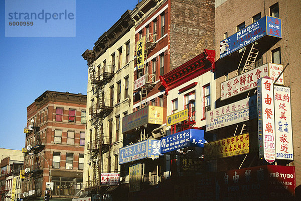 Chinatown  New York City  New York  Vereinigte Staaten von Amerika (U.S.A.)  Nordamerika