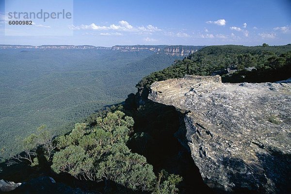 Eukalyptus Öl Dunst verursacht herumgereist in der Ansicht aus dem Kalkstein Pflaster über das Jamison Valley in die Blue Mountains National Park  UNESCO-Weltkulturerbe  in der Nähe von Katoomba  New South Wales (NSW)  Australien  Pazifik