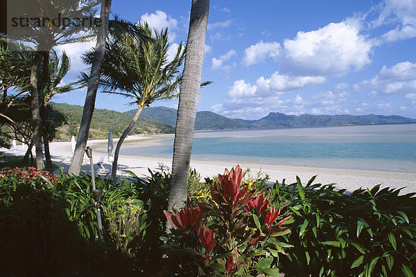 Resort Strand  Hayman Island  Whitsundays  Queensland  Australien  Pazifik