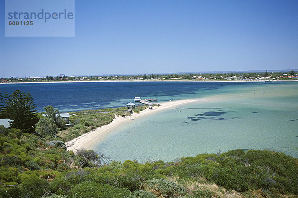 Vogelschutzgebiet geschützt  Shoalwater Marine Park  die Insel der Pinguine  Perth  Western Australia  Australien  Pazifik