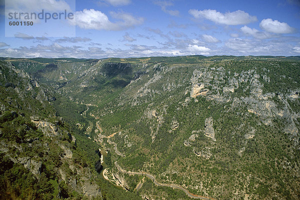 Gorges du Tarn von Roc des Hourtous  Lozere  Languedoc-Roussillon  Frankreich  Europa