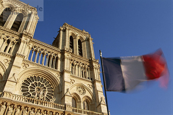 Französischer Flagge und Notre Dame de Paris  Kathedrale  Ile De La Cite  Paris  Frankreich  Europa