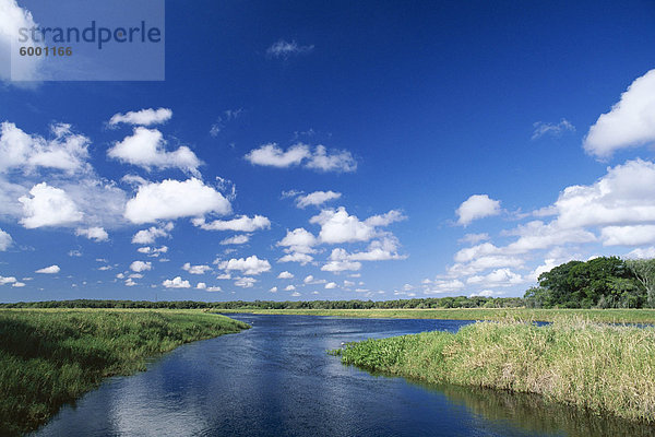 Blick vom Ufer der weißen Wolken und blauer Himmel  Myakka River State Park in der Nähe von Sarasota  Florida  Vereinigte Staaten von Amerika (U.S.A.)  Nordamerika