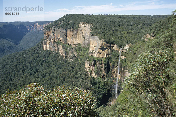 Braut Schleier fällt von der Govett Sprung Lookout  Grose Valley  Blue-Mountains-Nationalpark  UNESCO Weltkulturerbe  New South Wales (NSW)  Australien  Pazifik