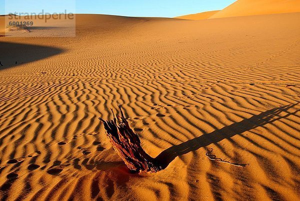 ERG Ubari Wüste  Ubari  Libyen  Nordafrika  Afrika