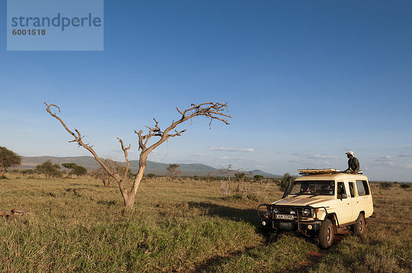 Lualenyi Game Reserve  Kenia  Ostafrika  Afrika