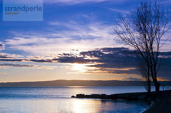 Lago di Bolsena  Lago di Bolsena  Provinz Viterbo  Latium  Italien  Europa