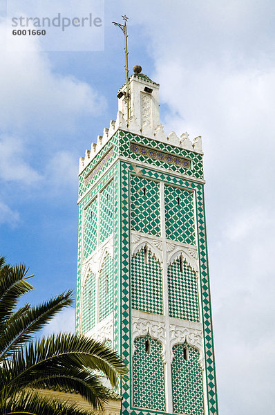 Moschee  Tanger  Marokko  Nordafrika  Afrika