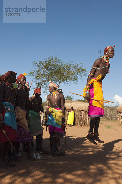 Samburu Stammesmitgliedern traditioneller Tanz  Loisaba Wildnis Conservancy  Laikipia  Kenia  Ostafrika  Afrika
