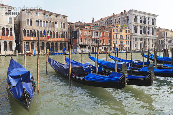 Canal Grande  Venedig  UNESCO World Heritage Site  Veneto  Italien  Europa