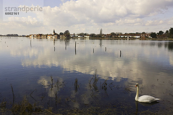 Der Hafen  Bosham  in der Nähe von Chichester  West Sussex  England  Vereinigtes Königreich  Europa