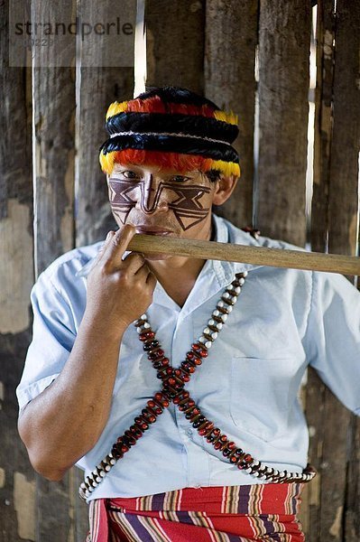 Ein Mann der Achuar spielt eine Achuar Flöte  Amazonas  Ecuador  Südamerika