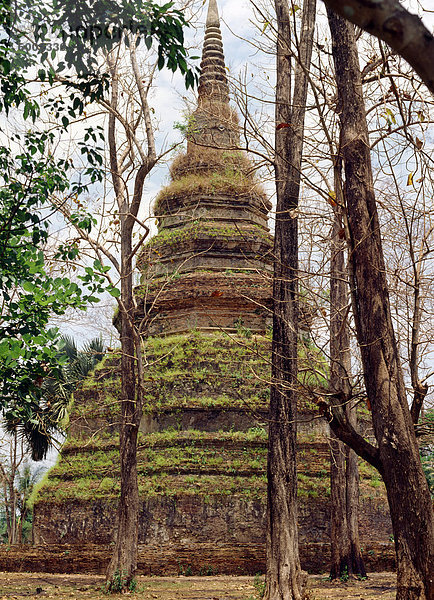 Chedi aus dem 13. Jahrhundert  Wat Chedi Luang  Chiang Saen  Thailand  Südostasien  Asien