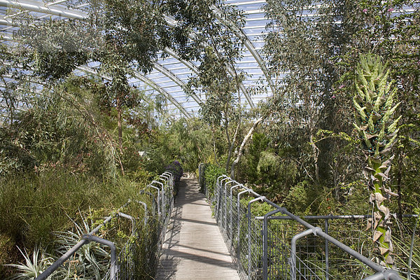 Europa Großbritannien Weg Garten Zimmer groß großes großer große großen Glashaus Botanik Wales