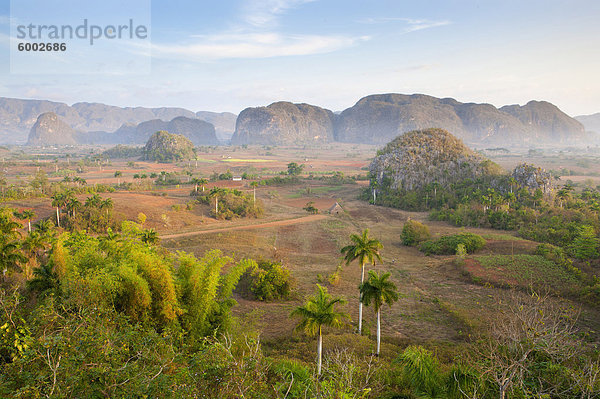 Am frühen Morgen Blick über das Tal von Vinales  UNESCO-Weltkulturerbe  vom Hotel Los Jasmines  Vinales  Provinz Pinar del Rio  Kuba  Karibik  Mittelamerika